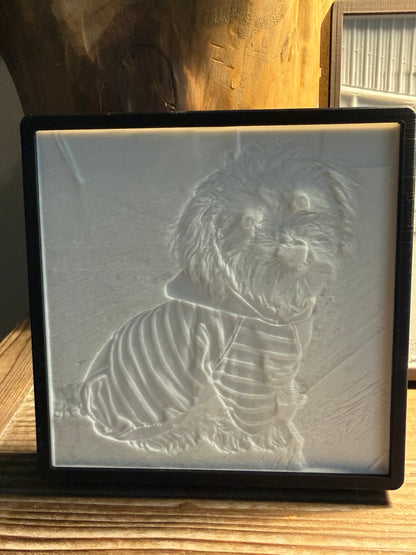 Lithophane Picture with Frame